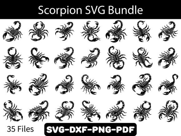 Scorpion SVG Bundle Review